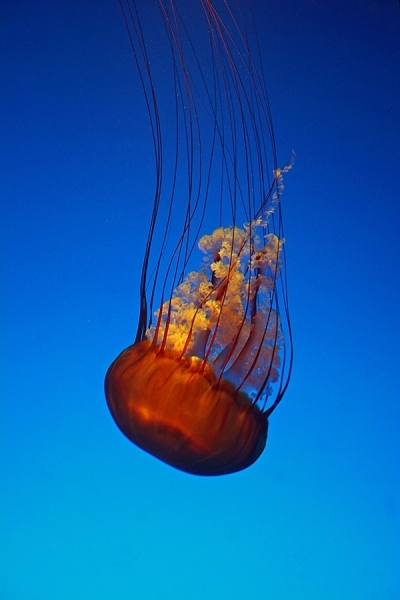 Photograph Barry Steven Greff Downward Spiral on One Eyeland